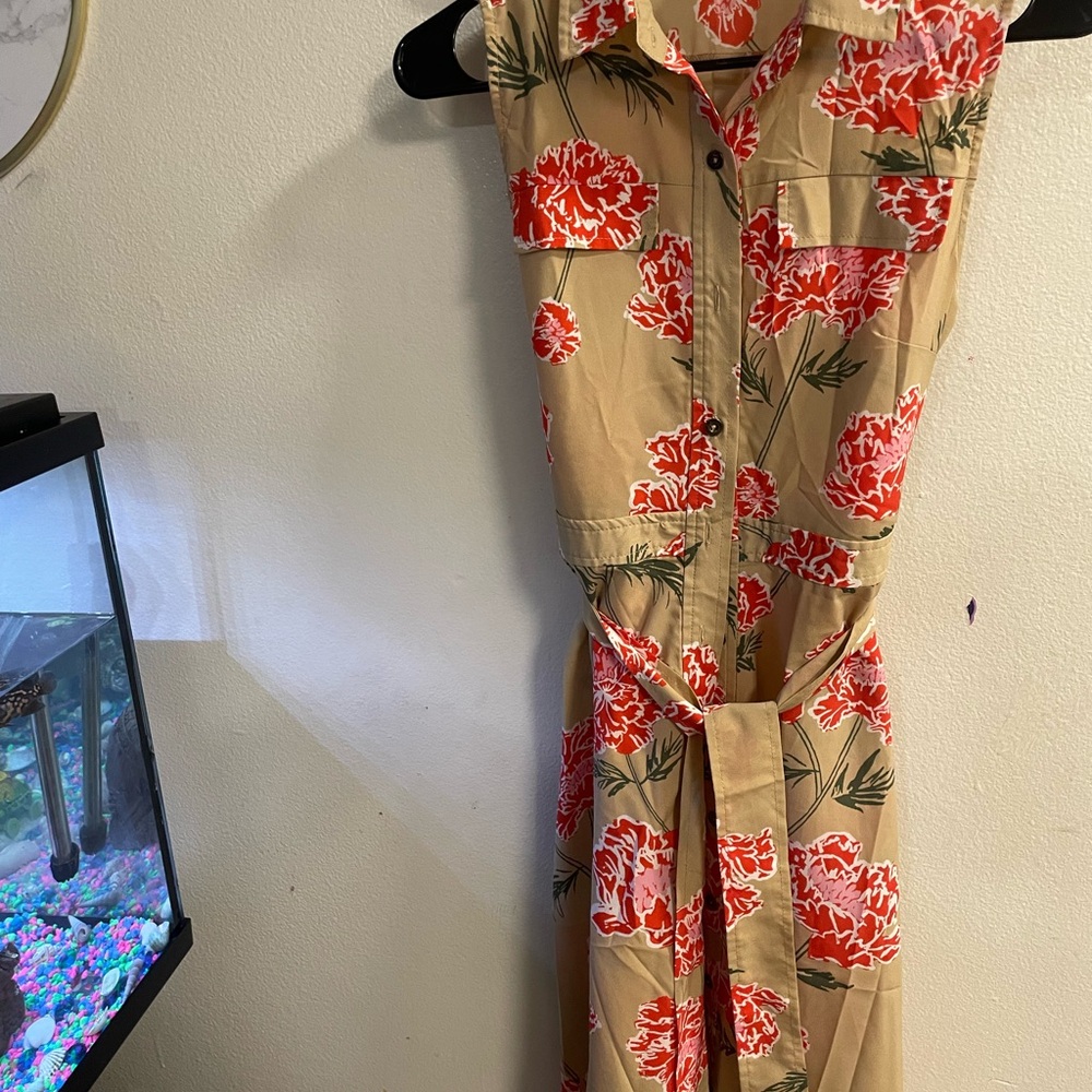 Banana Republic Red and Cream Floral Dress
